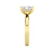 Elongated Cushion Shaped Lab Grown Diamond (F/VS) Hidden Halo Cathedral Shank Engagement Ring in 14K Gold