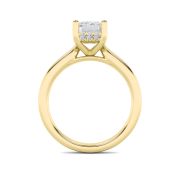 Emerald Shaped Lab Grown Diamond (F/VS) Hidden Halo Cathedral Shank Engagement Ring in 14K Gold