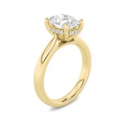 Oval Shaped Lab Grown Diamond (F/VS) Hidden Halo Cathedral Shank Engagement Ring in 14K Gold