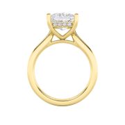 Princess Shaped Lab Grown Diamond (F/VS) Hidden Halo Cathedral Shank Engagement Ring in 14K Gold
