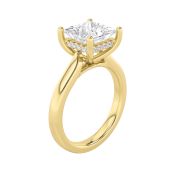Princess Shaped Lab Grown Diamond (F/VS) Hidden Halo Cathedral Shank Engagement Ring in 14K Gold